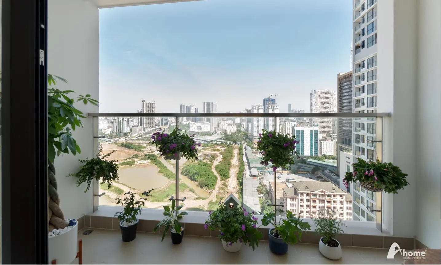 Chậu cây cảnh được sắp xếp và trang trí bắt mắt